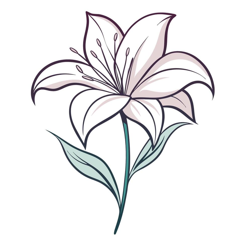 Modern lily with thin line design and elegant curves illustration floral vector
