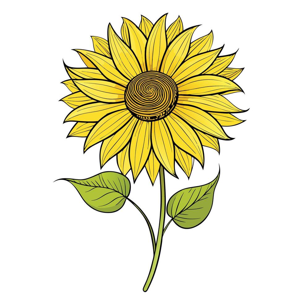 Sunflower with thread like lines illustration delicate floral design vector