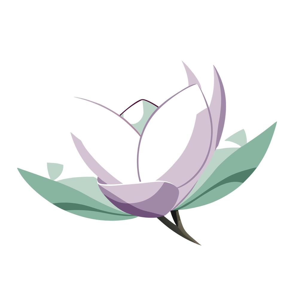 Modern magnolia with transparent design illustration delicate floral vector