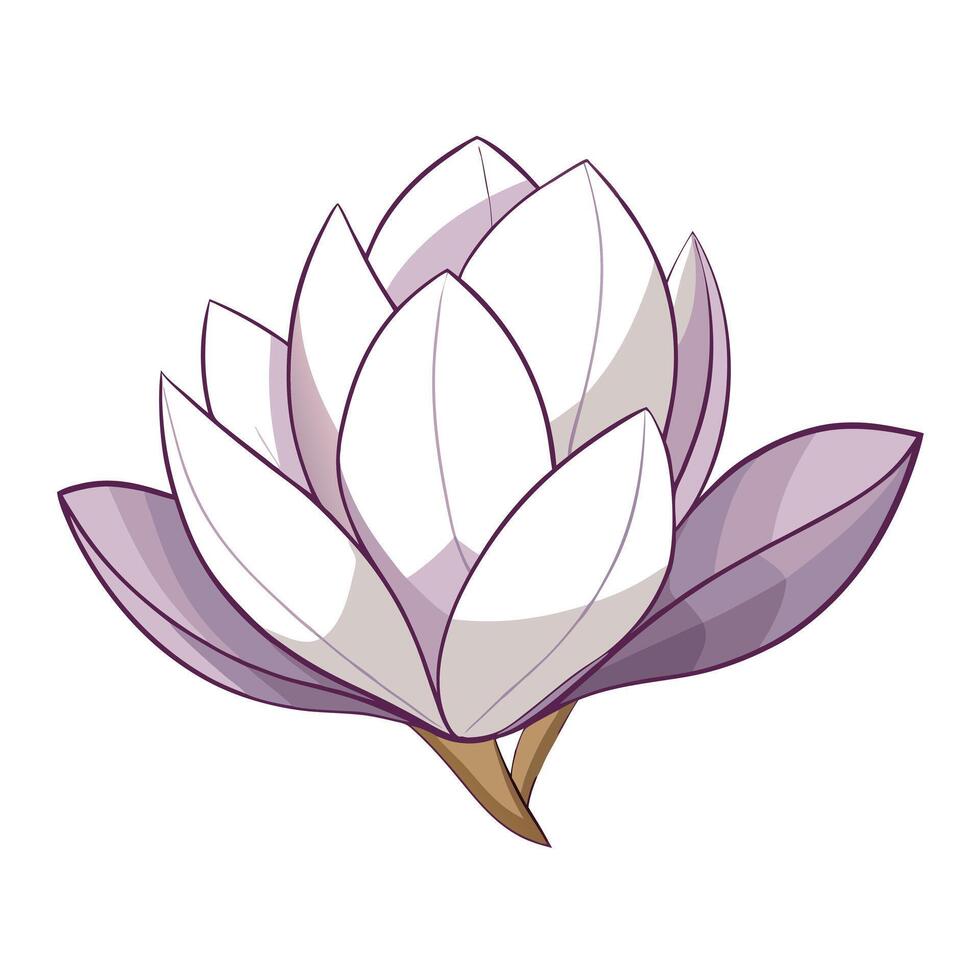 Elegant magnolia with transparent lines illustration delicate floral art vector