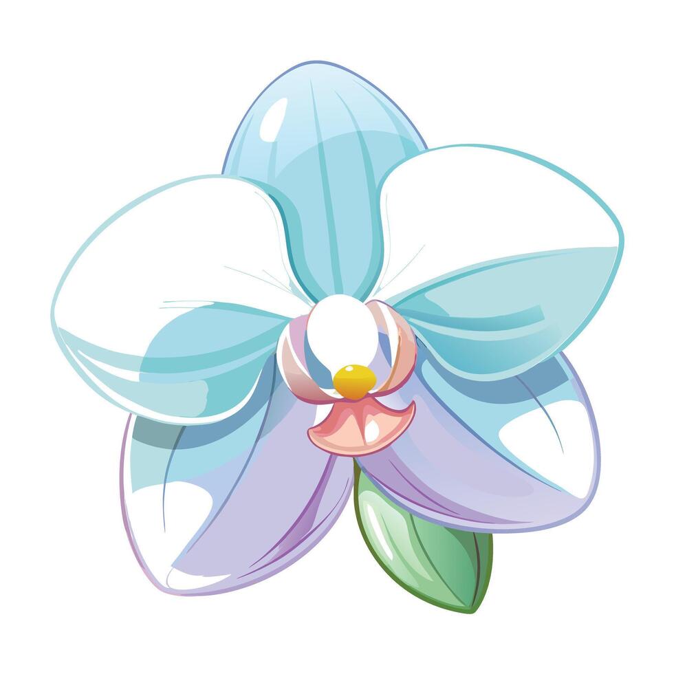 Transparent orchid with light infusion illustration delicate floral art vector