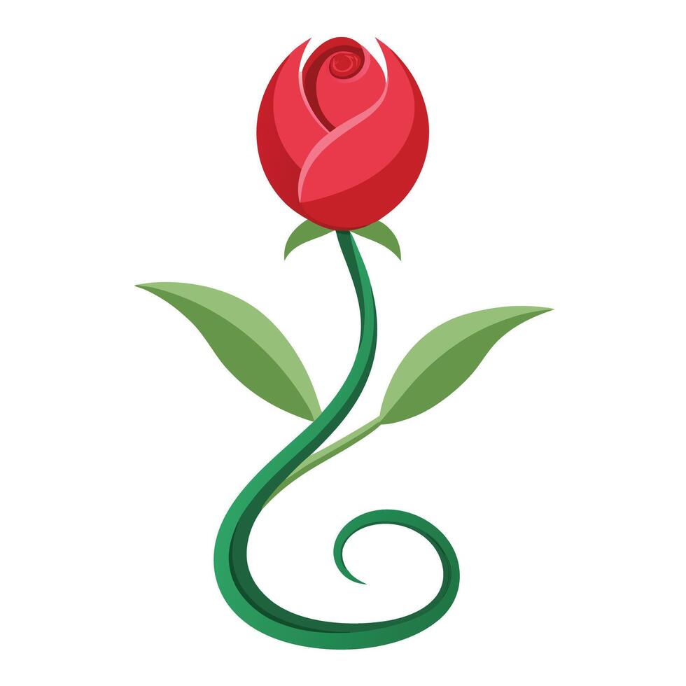Vine like tulip with winding stems illustration elegant floral design vector