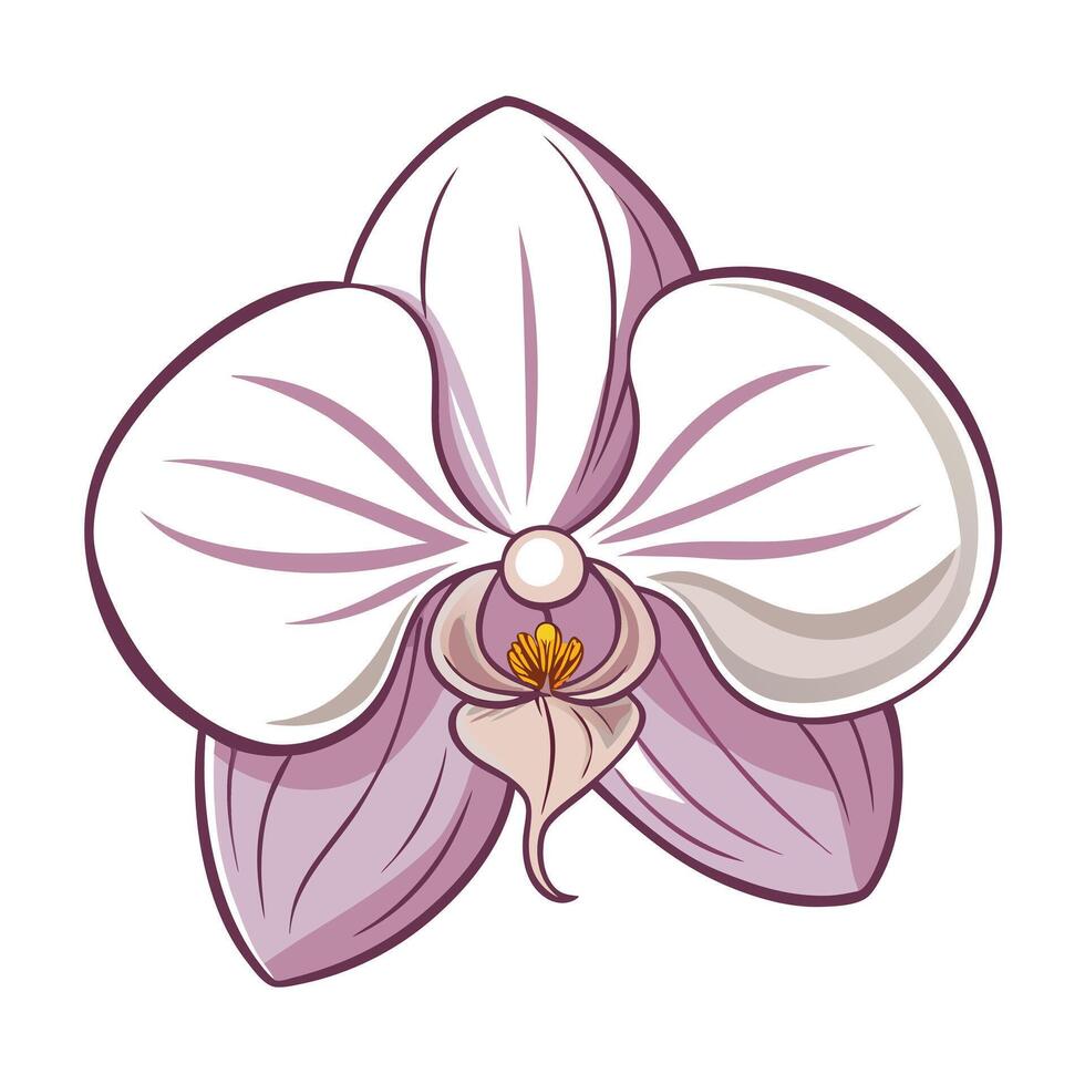 Orchid with ultra thin petals illustration delicate floral art vector