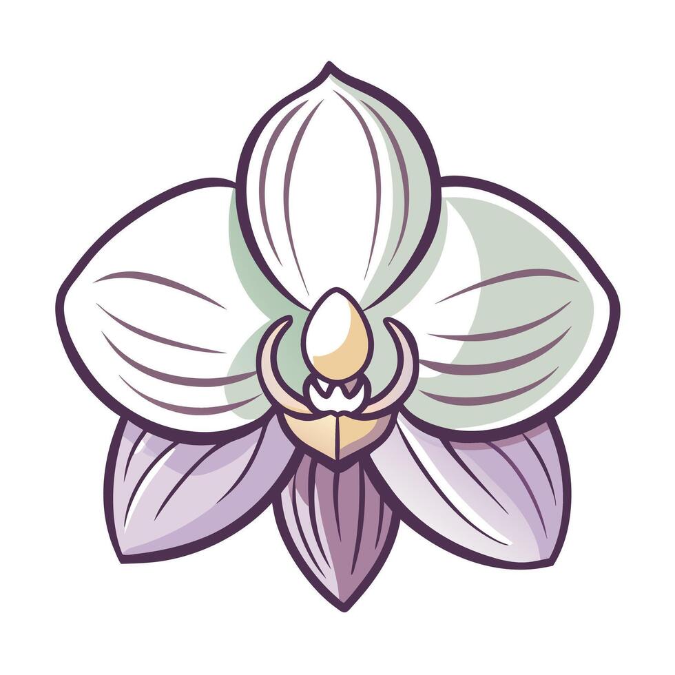 Elegant orchid with ultra thin transparency illustration delicate floral art vector