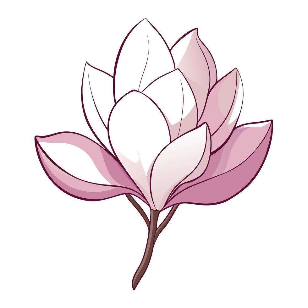 Abstract whisper petal magnolia with an airy transparency in illustration vector