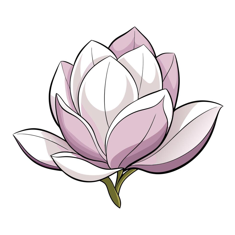 Elegant whisper petal magnolia featuring its gentle transparent aesthetic in design vector