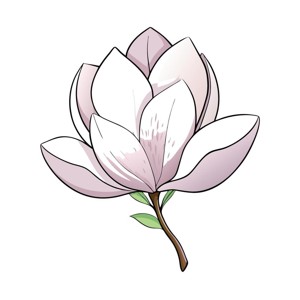 Unique whisper petal magnolia highlighting its subtle transparent petals in graphic vector