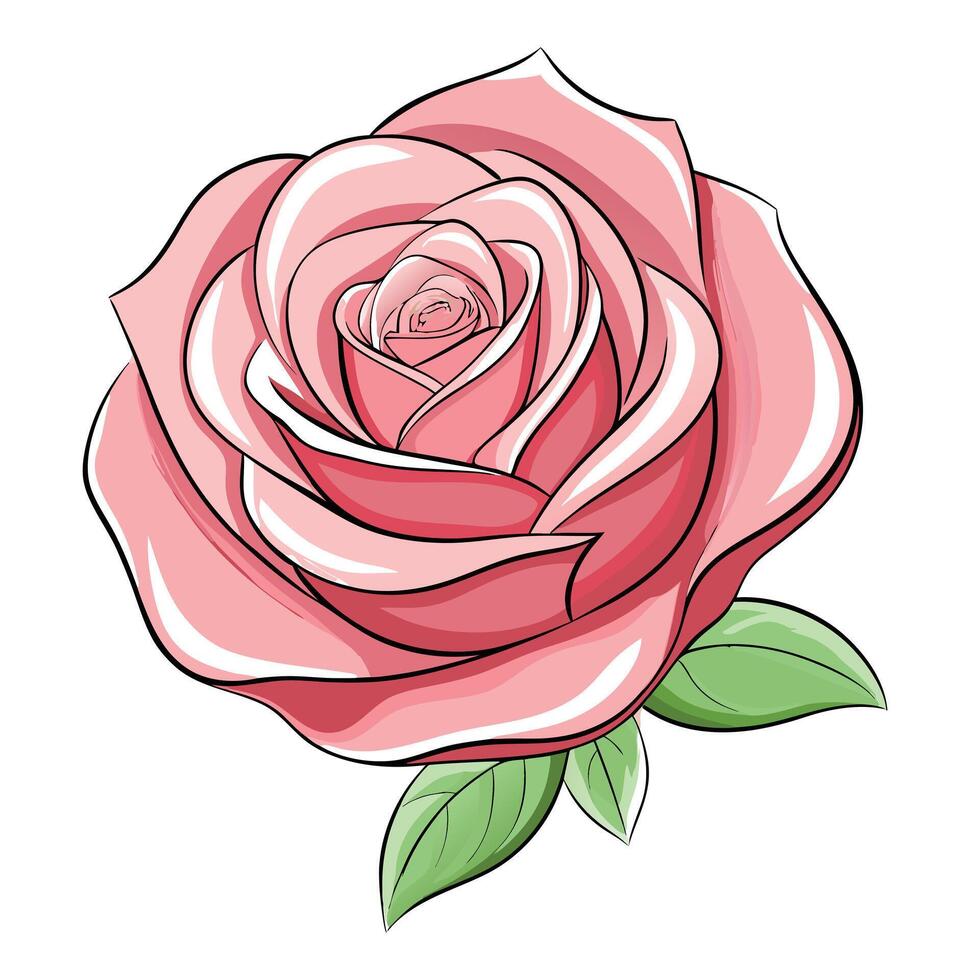 Unique whisper petal rose highlighting its subtle transparent petals in graphic vector