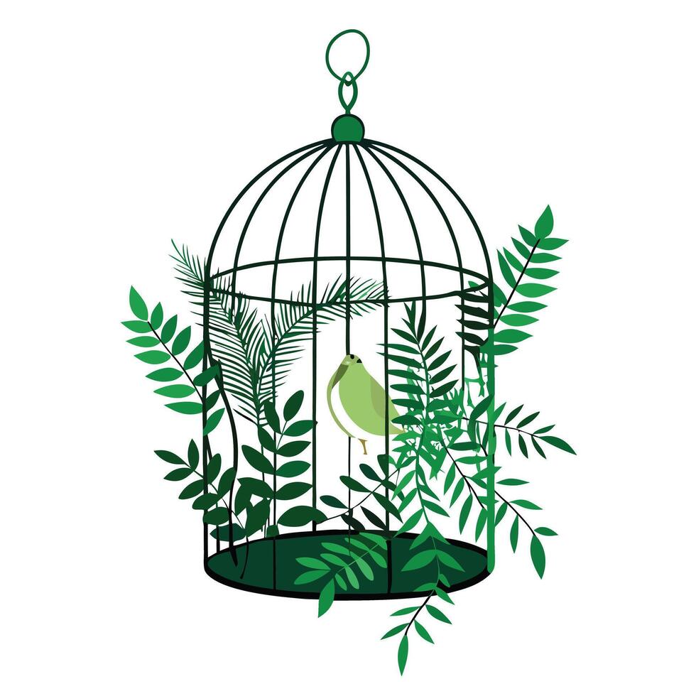 Hanging Ferns Birdcage Planter A Vintage Design vector