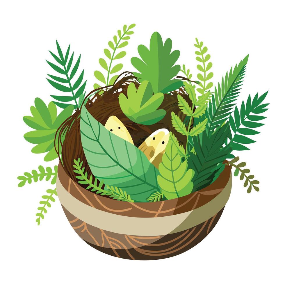 Soft Moss And Ferns Bird's Nest Planter A Natural Design vector
