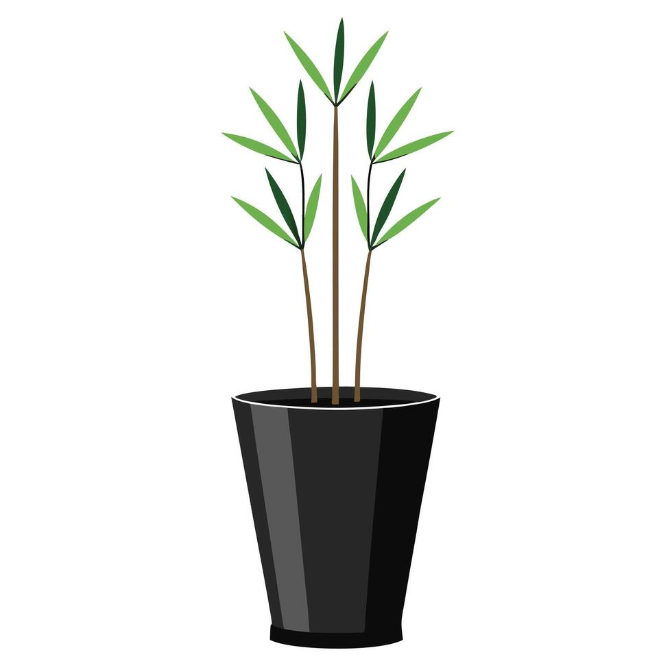 Black Matte Ceramic Planter With Tall Minimalist Design vector