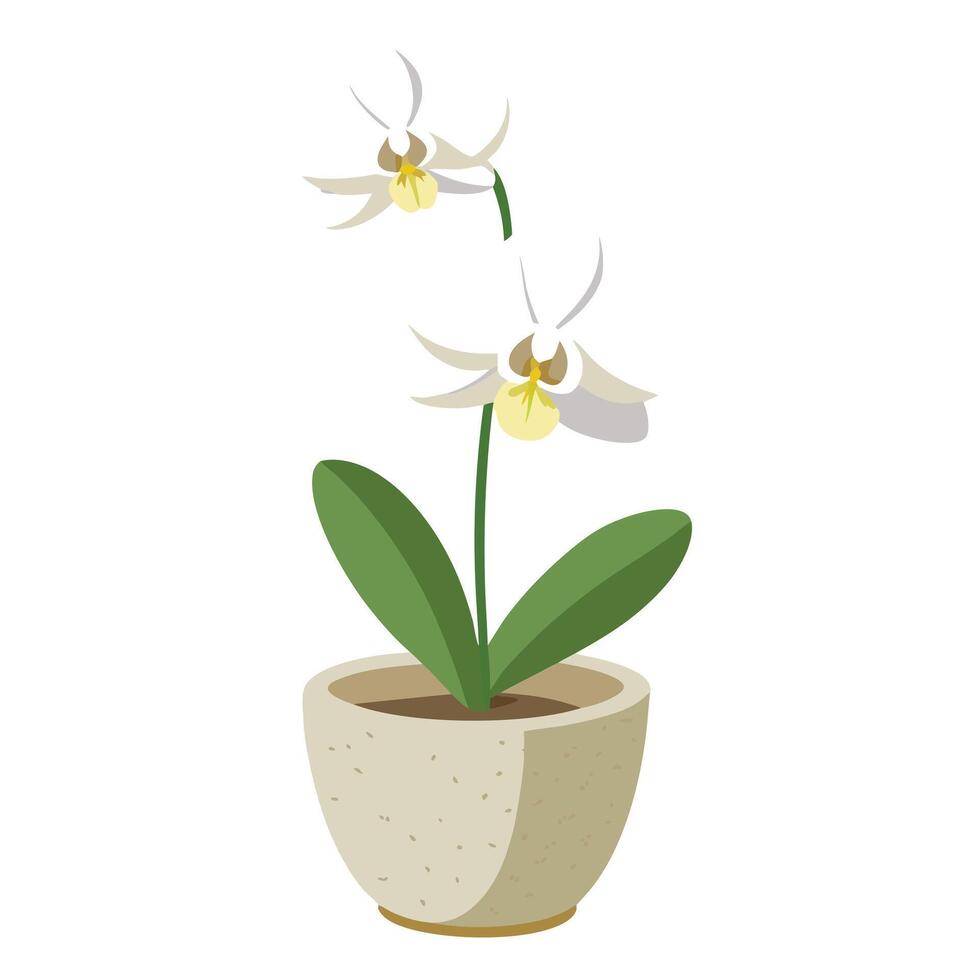 Orchid Flower In Textured Stone Pot With Unique Design vector
