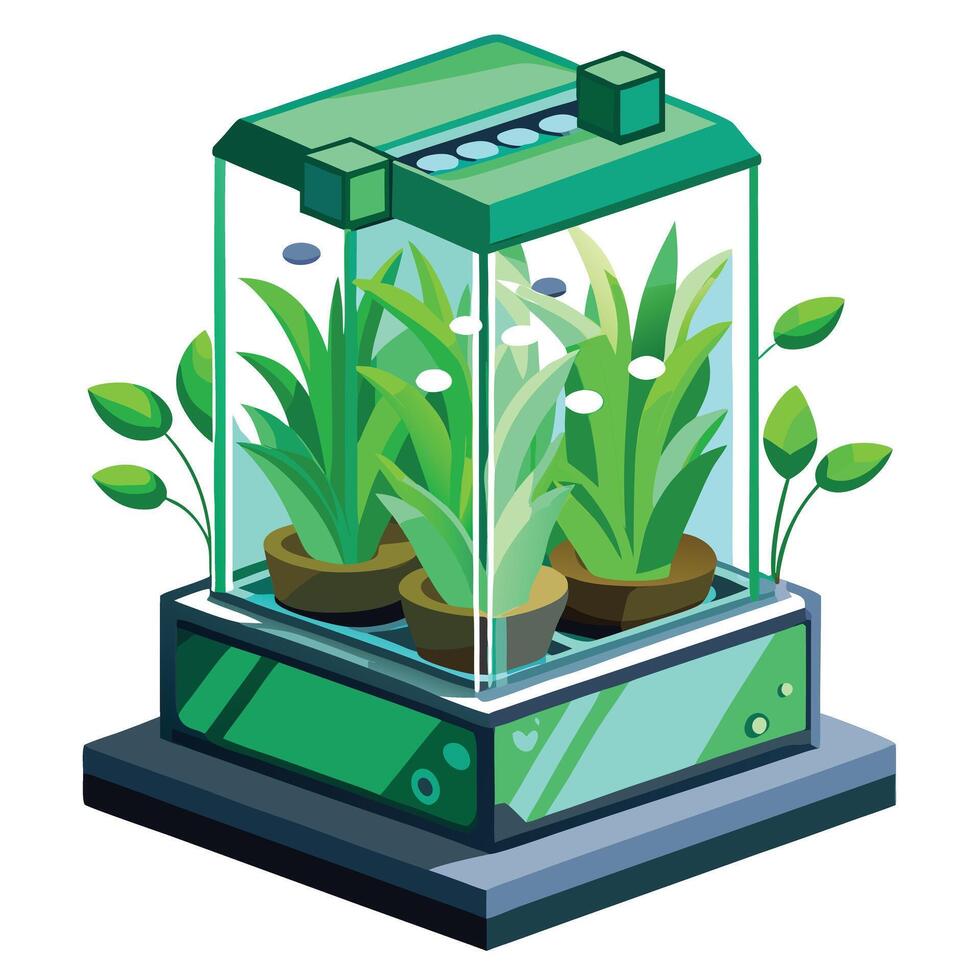 Charming Hydroponic Herb Garden With A Modern Look vector