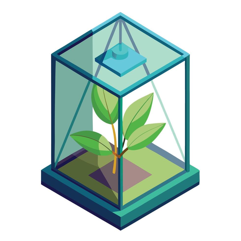 Unique Glass Cube Planter Featuring A Levitating Plant vector