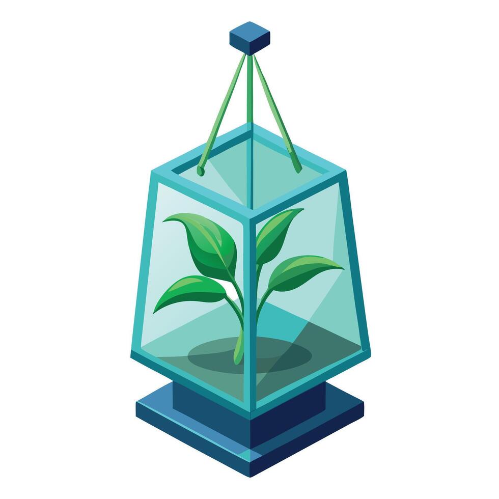 Glass Cube Planter With A Plant Suspended In Mid-Air vector