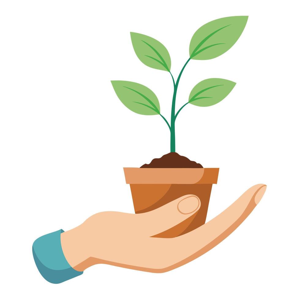 Delightful Small Planter With Sprouting Leaves In Hand vector