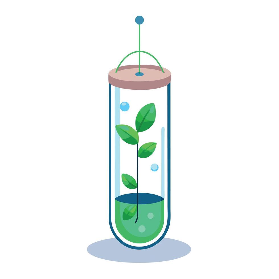 Charming Test Tube Planter Featuring Tiny Sprouts vector