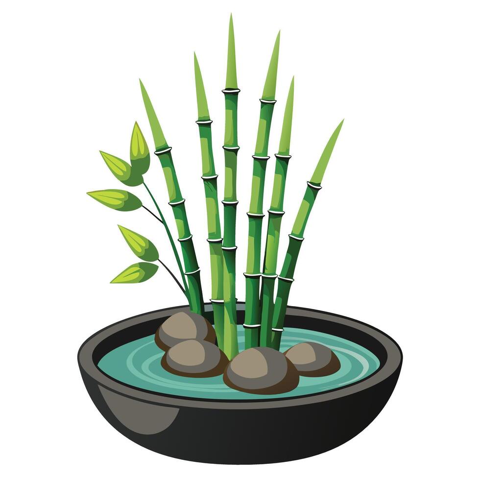 Elegant Lucky Bamboo Vase Featuring Water Display vector