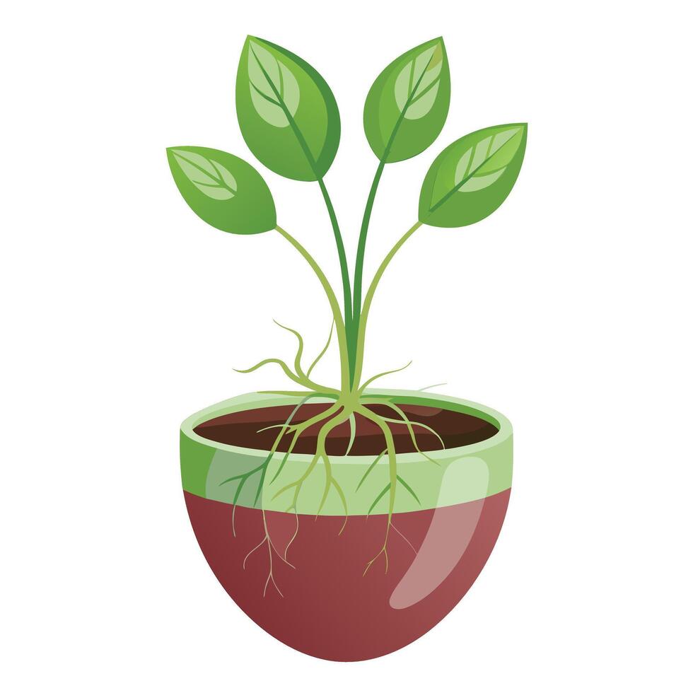 Unique Invisible Planter Featuring Floating Roots vector