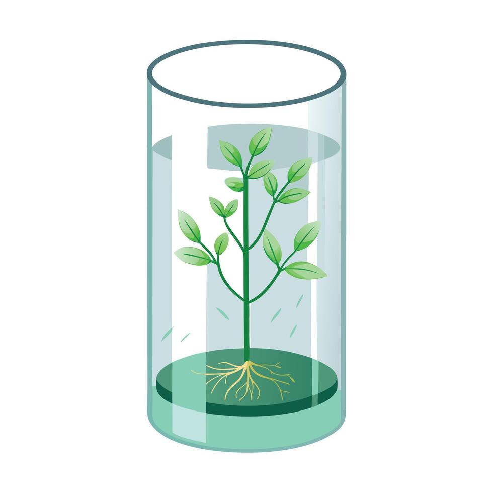 Charming Glass Cylinder Planter Featuring Hydroponic Growth vector