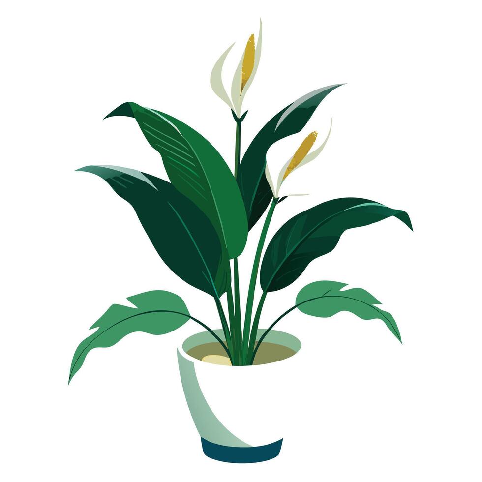 Charming Peace Lily Planter Featuring A Sleek White Design vector