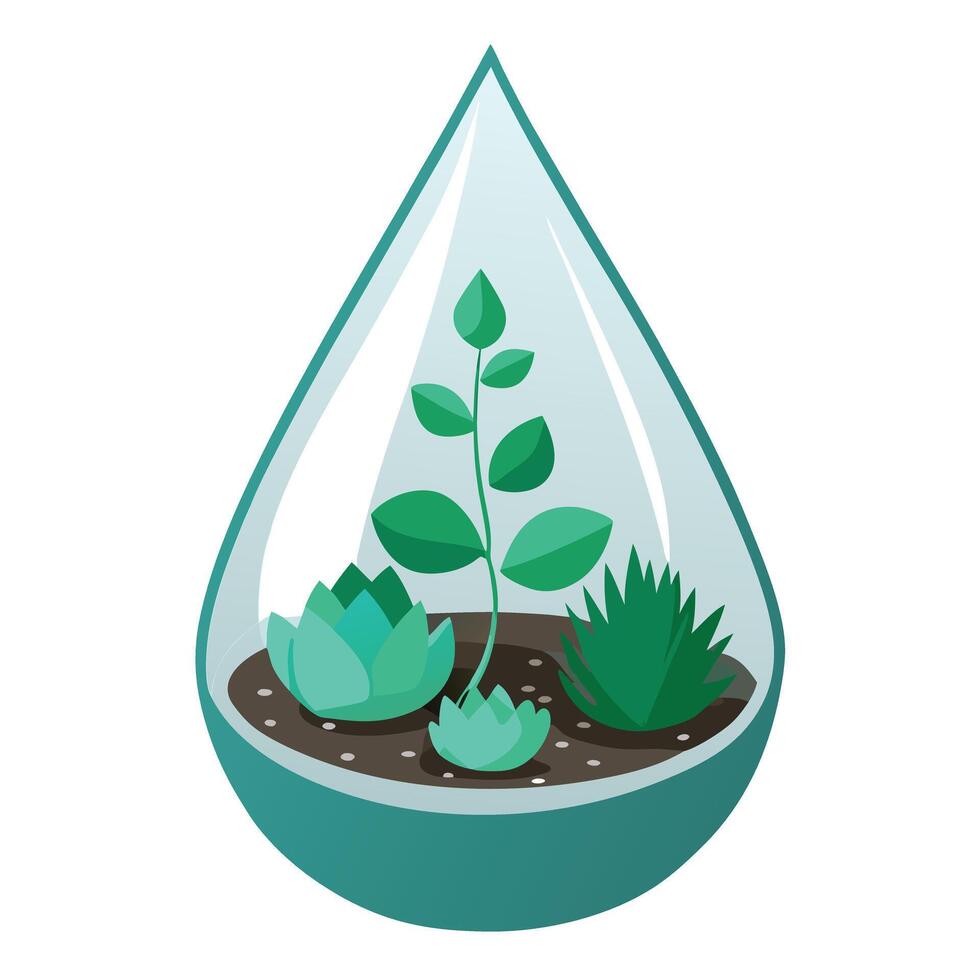 Creative Teardrop Shaped Glass Planter With Floating Succulents Design vector