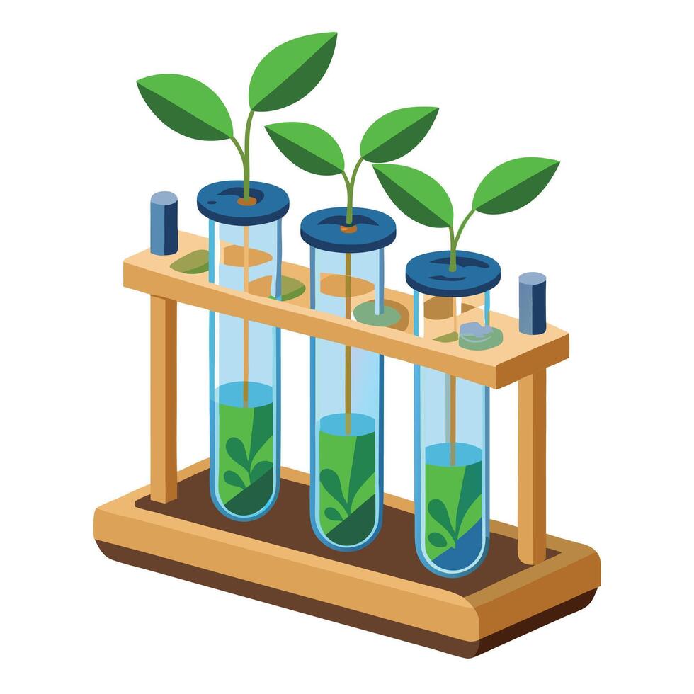 Unique VGlass Test Tube Planter Showcasing A Wooden Stand vector
