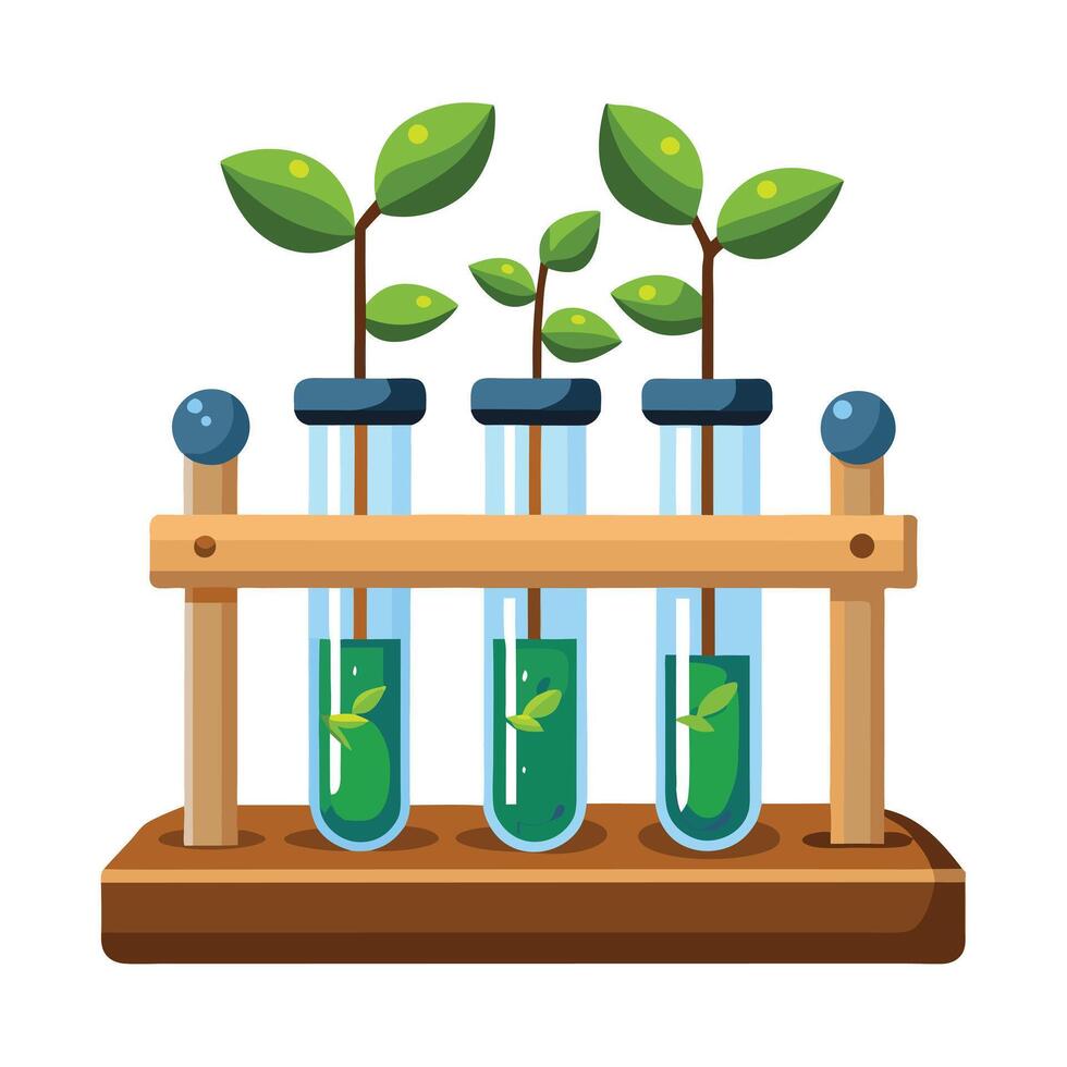 VGlass Test Tube Planter In A Wooden Stand vector