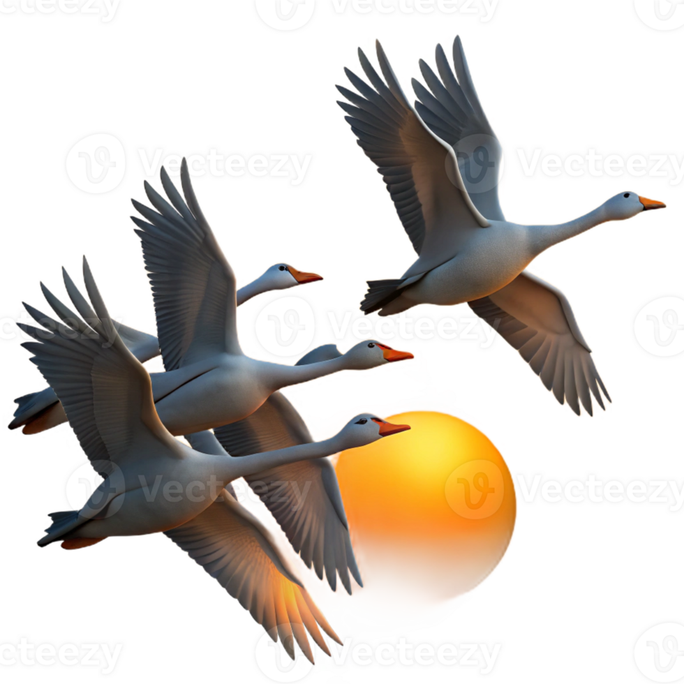 serene artistic A Flock of Geese Flying in a V authentic png
