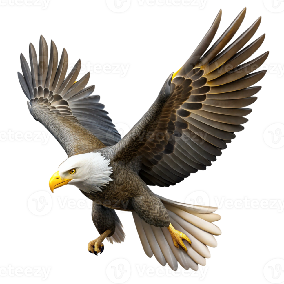 extraordinary modern Majestic Bald Eagle in high resolution png