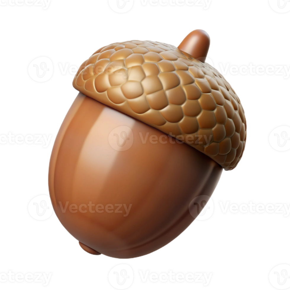 distinguished abstract Single acorn with Transparent Background genuine png