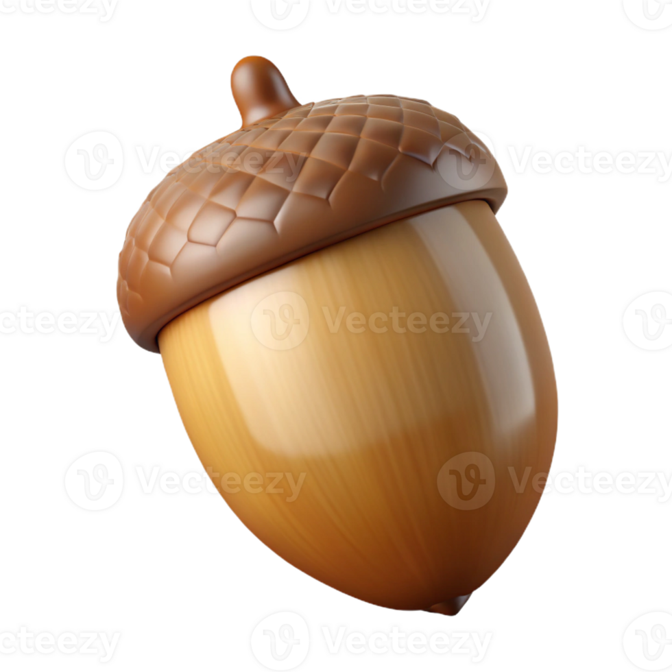 radiant rustic Single acorn with Transparent Background ultra HD png