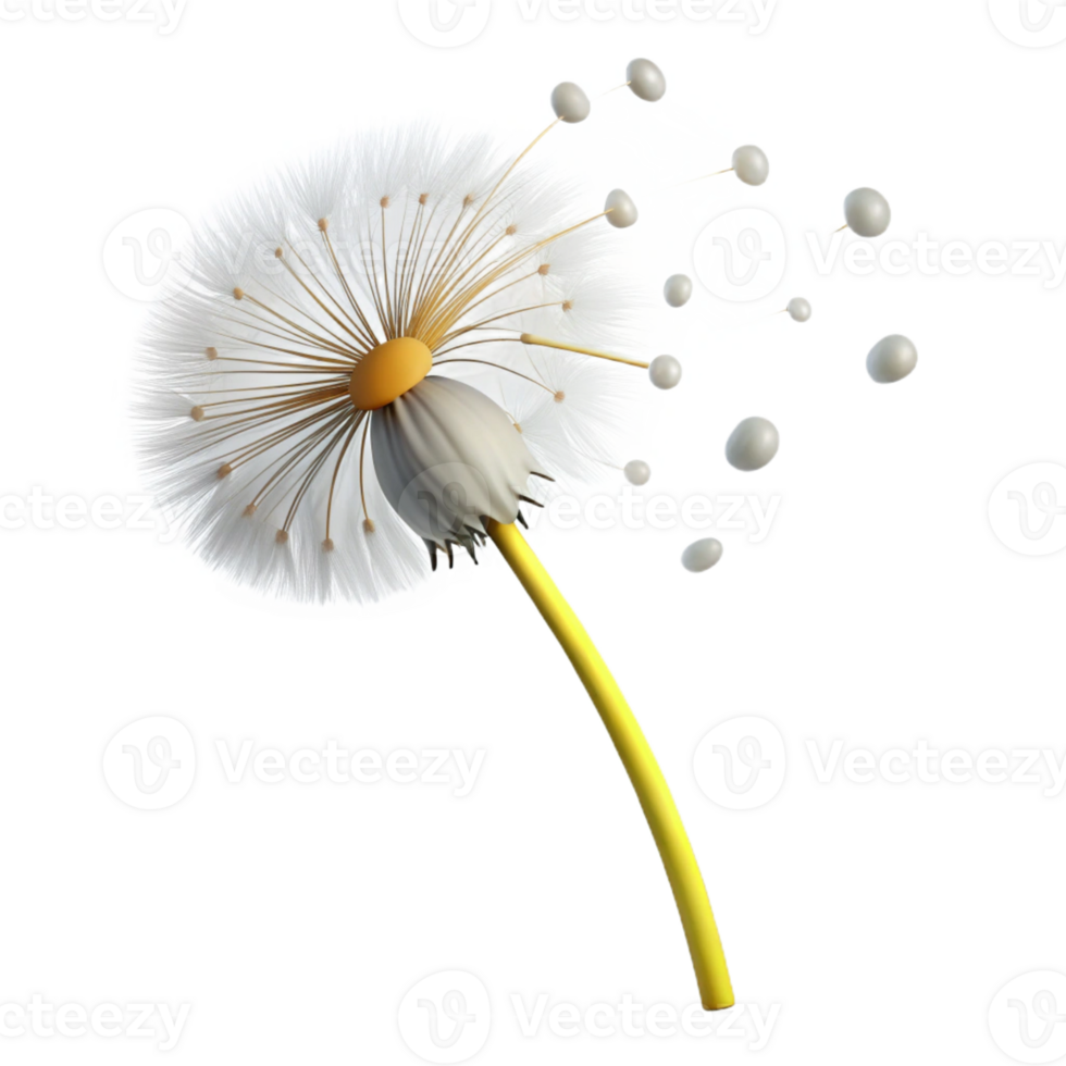 beautiful classic A Single Dandelion Seedhead with Seeds genuine png