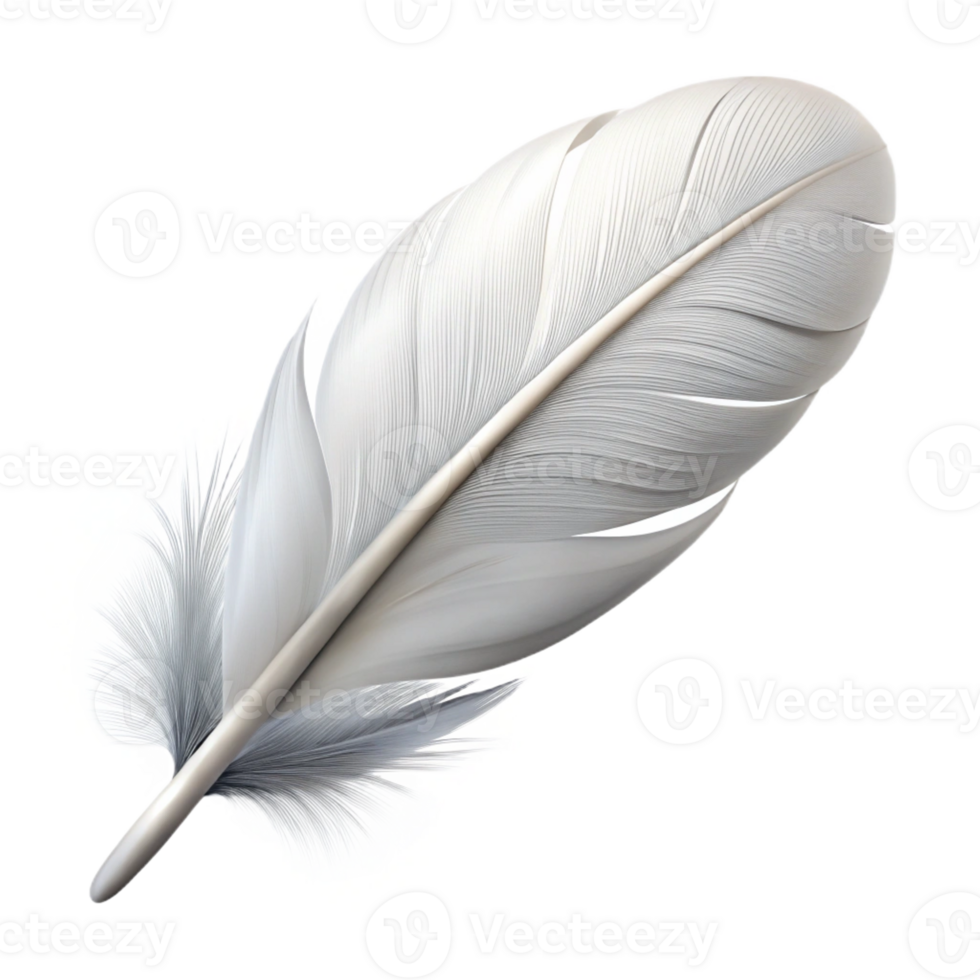 sumptuous quintessential Photorealistic, isolated cutout of a single, feather, white, downy with Transparent Background png