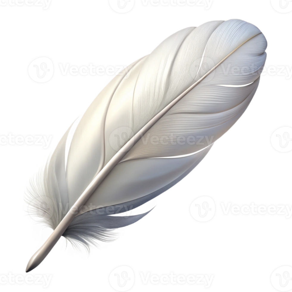 enchanting melancholic retro Photorealistic, isolated cutout of a single, feather, white, downy with Transparent Background genuine png