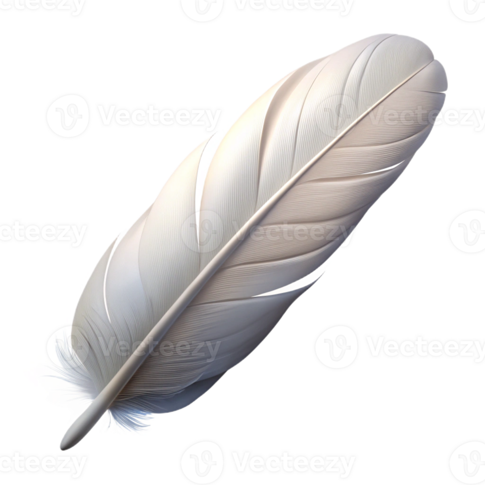 alluring elegant Photorealistic, isolated cutout of a single, feather, white, downy with Transparent Background sharp png