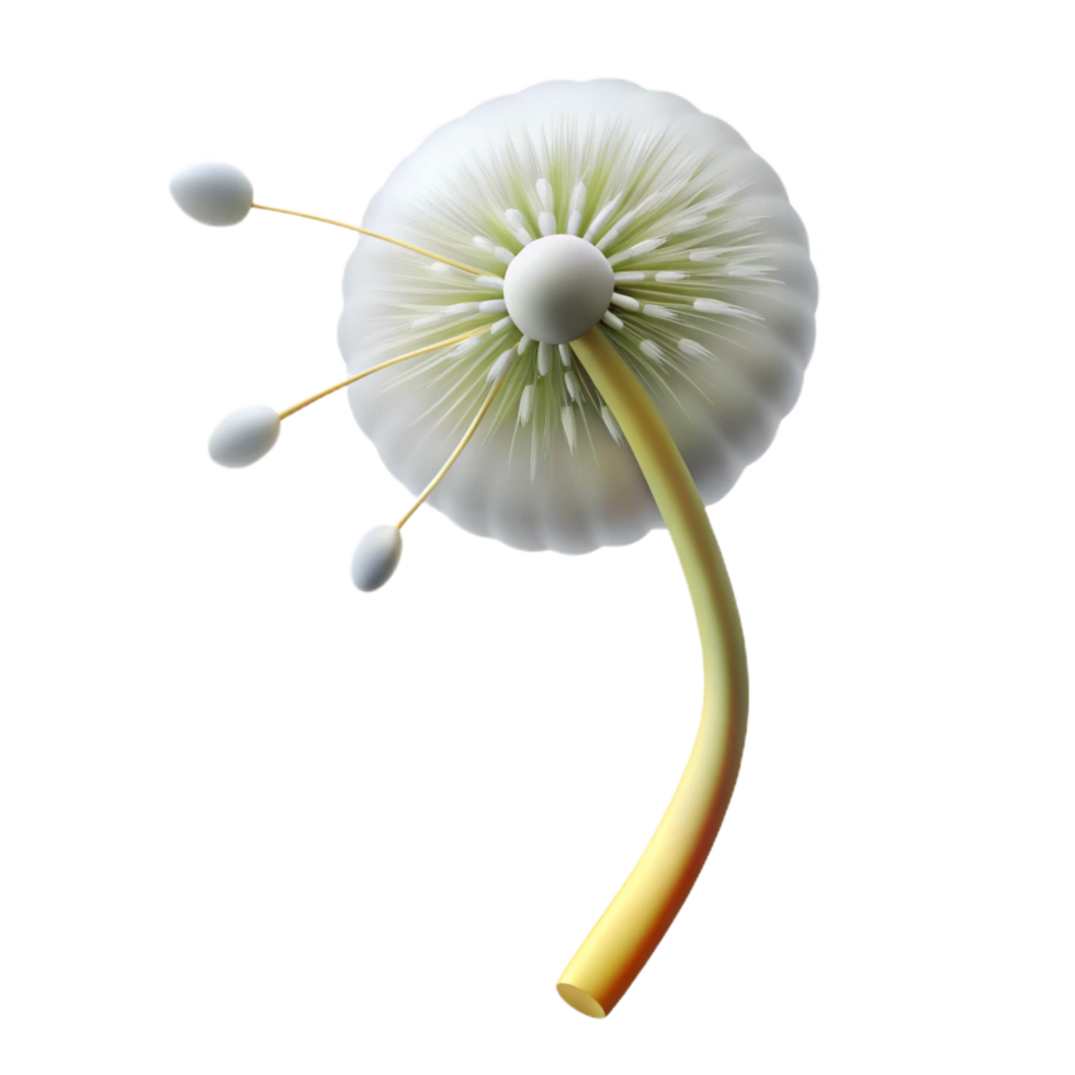 impressive creative A Single Dandelion Seed Head in the Wind high quality png