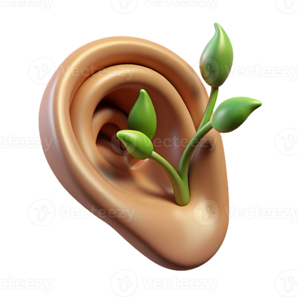 wonderful memorable Isolated cutout of a photorealistic, hyper-specific, disembodied ear with a growing vine emerging from the ear canal with Transparent Background png