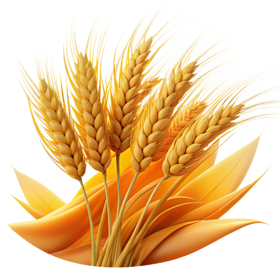 wonderful abstract A Field of Ripe Wheat Swaying in the authentic png