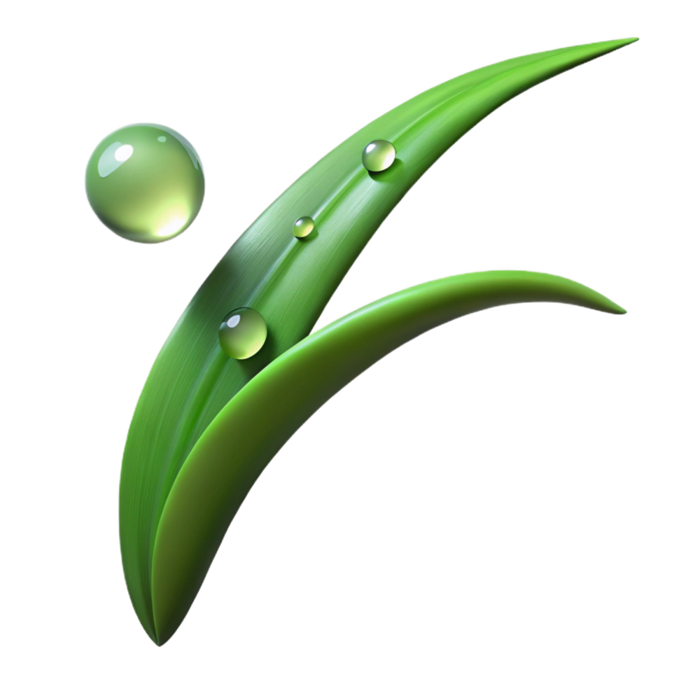 extraordinary abstract A Single Blade of Grass Dew Drops 4K png