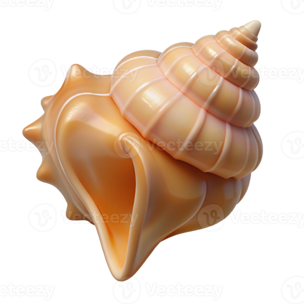 breathtaking joyful nordic Ultra-detailed, photorealistic, isolated cutout of a single seashell, conch with Transparent Background 4K png