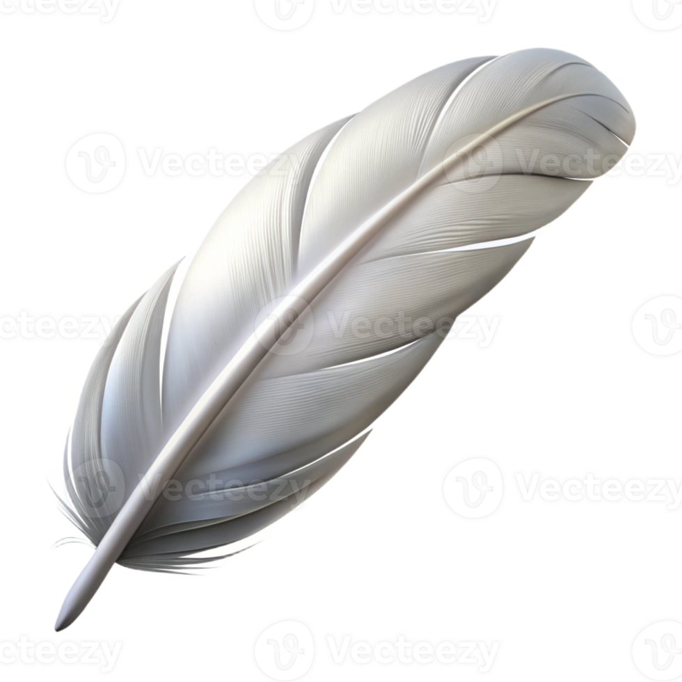 acclaimed bohemian Concept art style ultra-detailed isolated cutout of a single feather, white, with Transparent Background crisp png