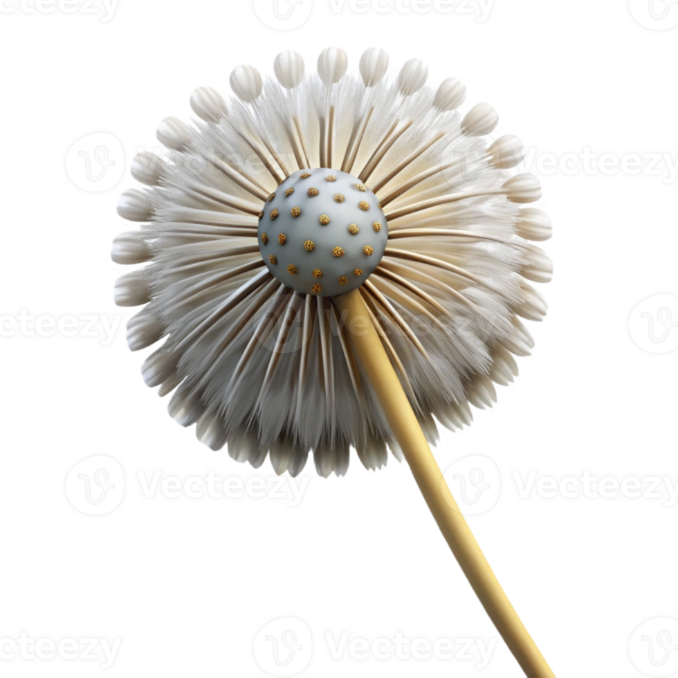 enchanting nordic Professional render, photorealistic, isolated cutout of a single, perfectly formed dandelion seedhead, ready to disperse with Transparent Background artisan png
