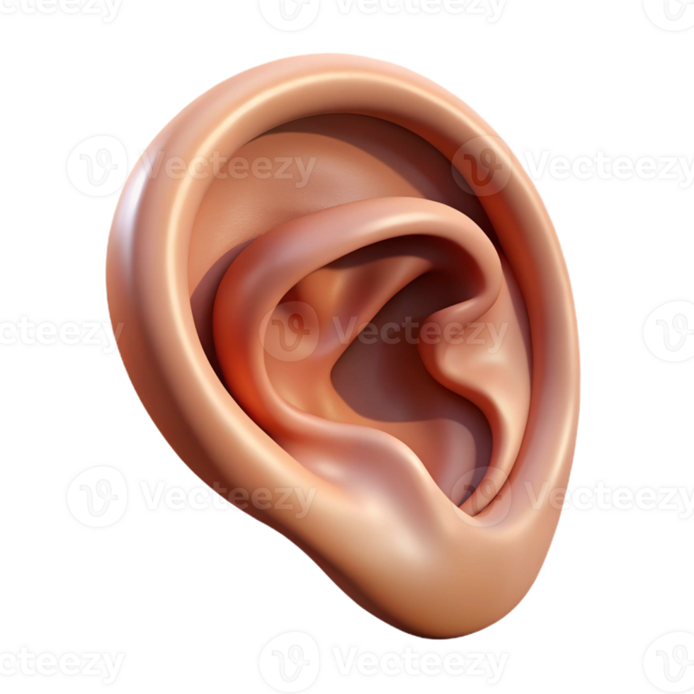 breathtaking passionate artistic Hyper-specific professional render of a single human ear with intricate details and realistic textures Isolated cutout with Transparent Background perfect clarity png