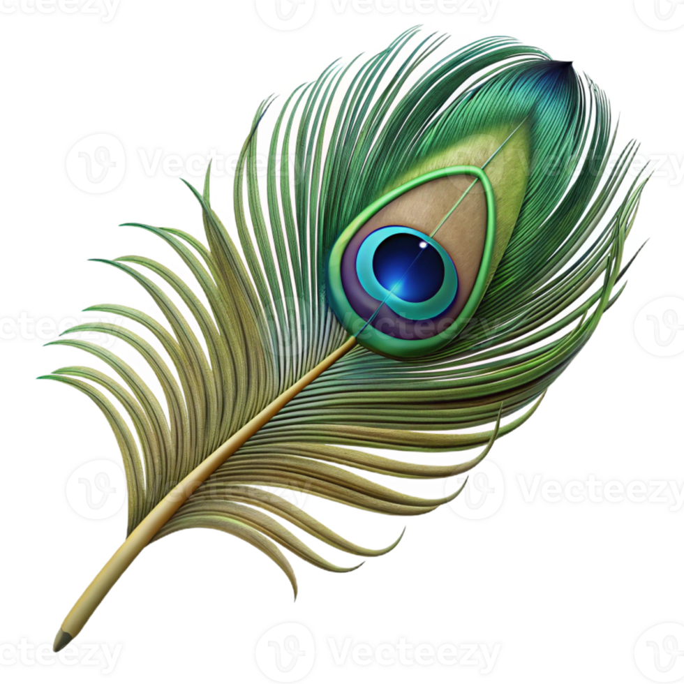 elegant dramatic art deco Ultra-detailed, photorealistic render of a single feather, peacock feather, isolated cutout with Transparent Background high resolution png