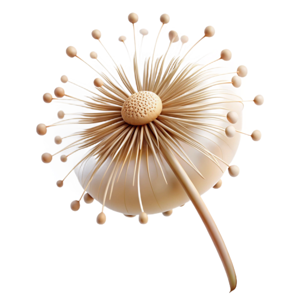 elegant abstract A Single Dandelion Seed Head professional png
