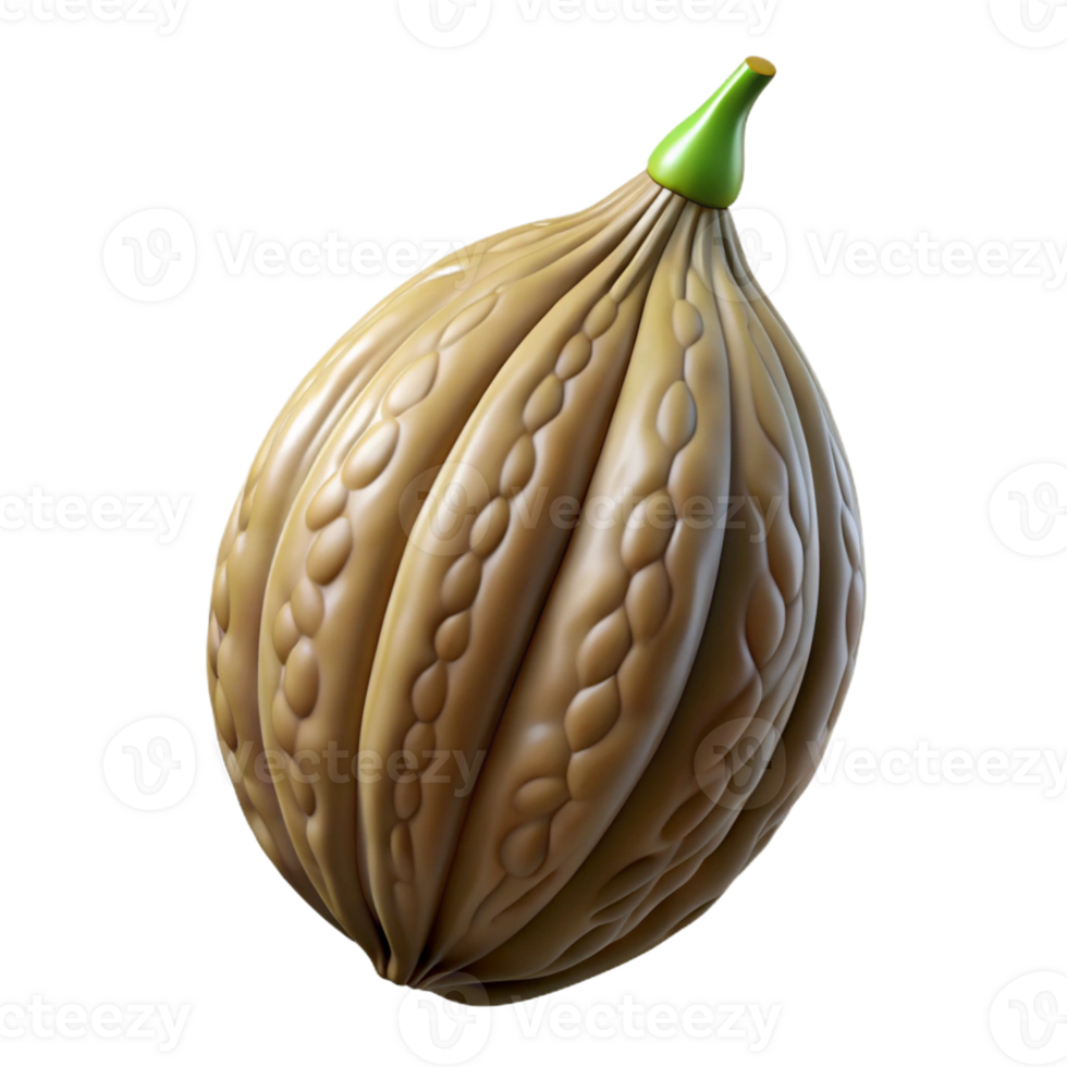 celebrated classic Hyper-specific, professional render, isolated cutout, photorealistic single, seed pod with intricate textures with Transparent Background artisan png
