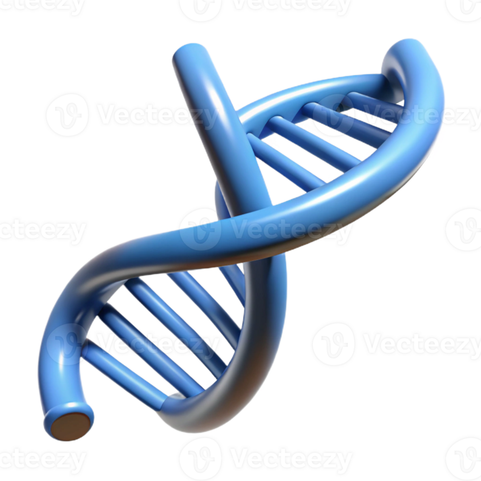 elegant dreamy organic A DNA double helix structure with Transparent Background high resolution png