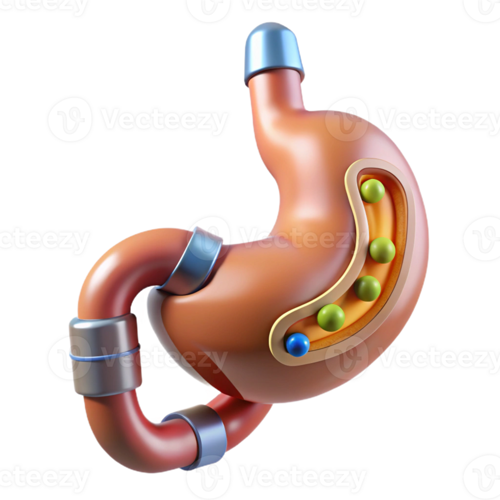 distinctive art deco Professional render, concept art style, biomechanical stomach with integrated nutrient absorption system, isolated cutout with Transparent Background expertly shot png