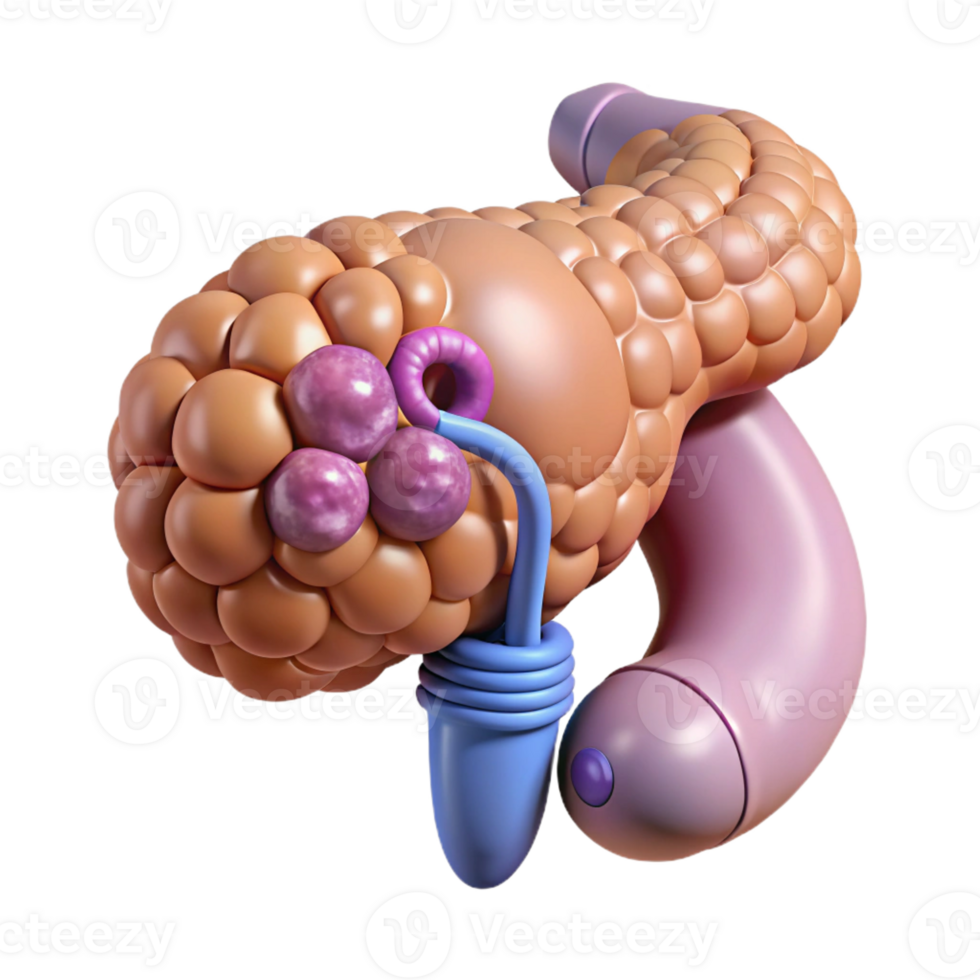 distinguished geometric Isolated cutout, ultra-detailed, biomechanical pancreas with regulated insulin production with Transparent Background 8K png